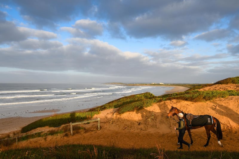 Champion jumps jockey Steven Pateman walks Maryfromthedairy to the beach for a track session at Thirteenth Beach in Barwon Heads, Australia. Getty