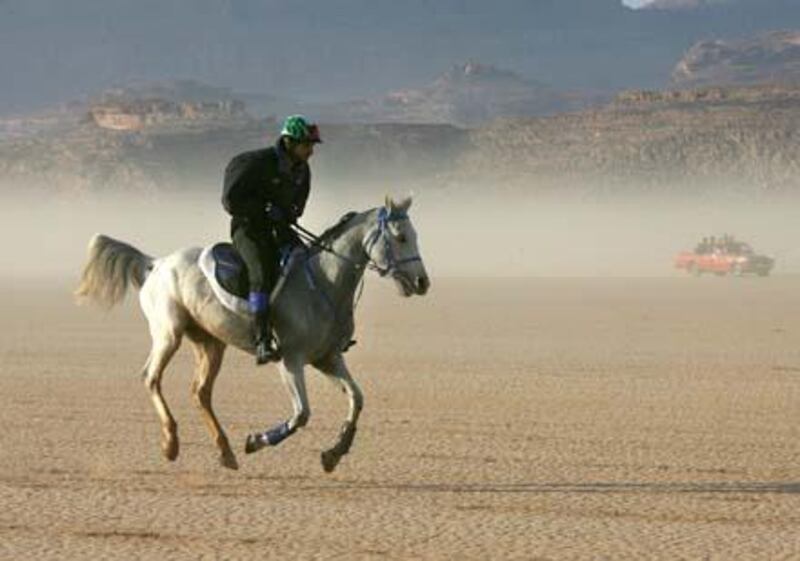 A jockey competes with his horse in the Wadi Rum International Endurance Ride in the Jordanian desert on November 14, 2008. Dubai ruler Sheikh Mohammed bin Rashed al-Maktoum, who is also Emirati vice president and prime minister, won the 120-km race. AFP PHOTO/AWAD AWAD *** Local Caption ***  708175-01-08.jpg