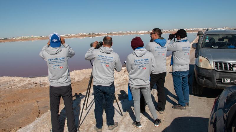 About 380,000 waterfowl visit Tunisia every winter to feast on brine shrimp, insects, fish and other small organisms in the muddy marshes all along the country's coast. Photo: Hichem Azafzaf