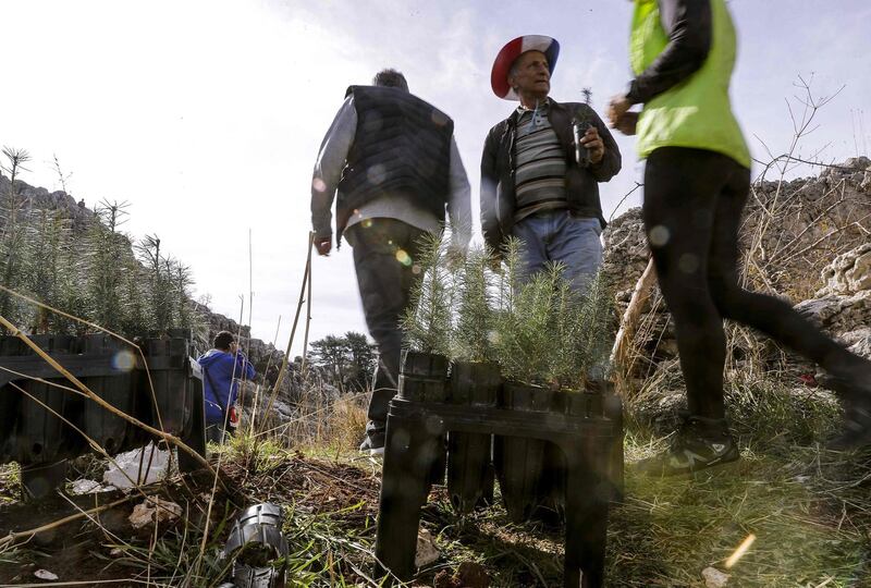 Environmentalists gather to plant young cedars on the slopes of the Jaj Cedar Reserve Forest in the Lebanon mountains. AFP