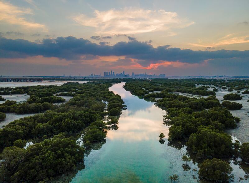 Highly Commended, Mangroves & Landscape, Shyjith Kannur, UAE. Photo: Shyjith Kannur / Mangrove Photography Awards