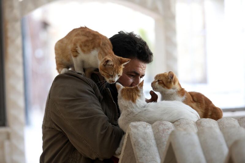 Mohammed Alaa al-Jaleel pets cats near marble cubes used as houses at Ernesto's Cat Sanctuary that he runs in Kfar Naha. AFP