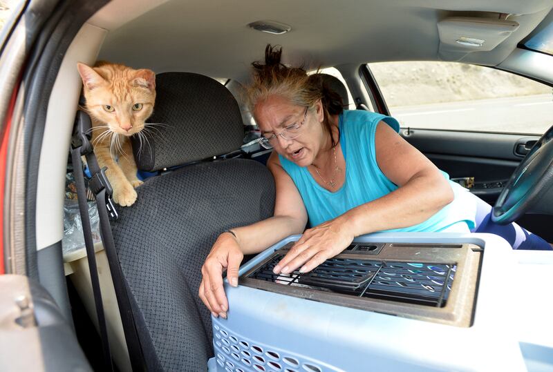 Martha Van Dyke of Lytton sits in her car with her cats, Tigger and Kona, after a wildfire that raged through her town forced residents to evacuate, outside of Lytton, British Columbia.