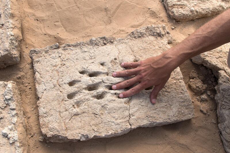 The fingerprints of a worker who helped build a wall in ancient Al Ain. Courtesy Department of Culture and Tourism - Abu Dhabi