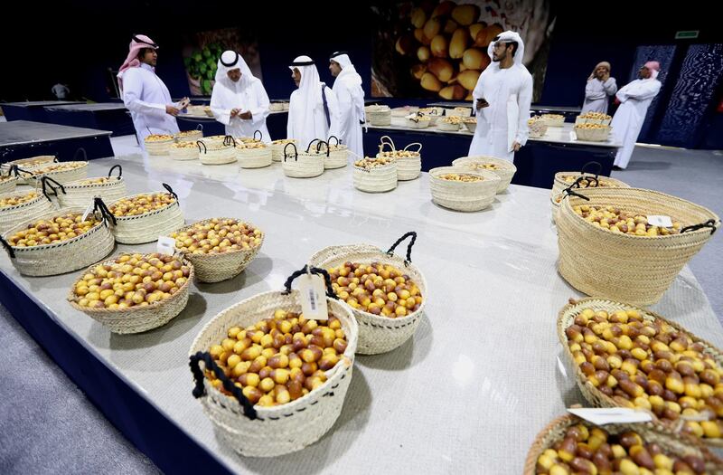 Judges inspect baskets of dates during the Al Dabbas competition on the first day of the Liwa Dates Festival. EPA