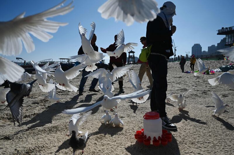 A man feeds doves on a beach on Pingtan Island, the closest point in China to Taiwan’s main island, on the day of Taiwan’s presidential election. AFP