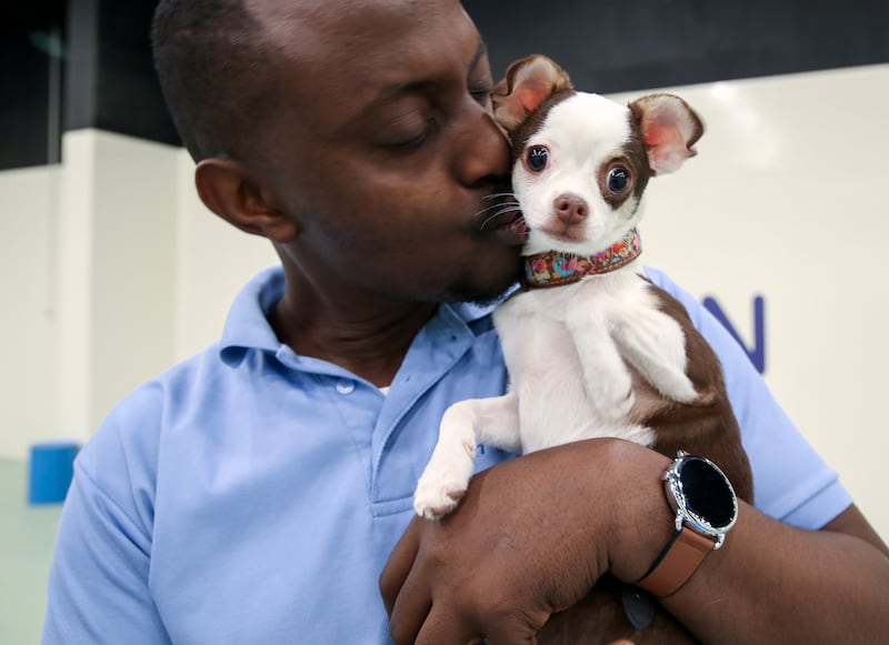 Richard Gabriel is a trainer and handler at Pet Pavilion 