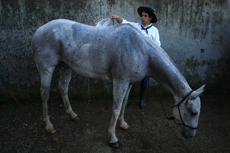 A South American cowboy bathes a horse during the Criolla Week rodeo festival, in Montevideo, Uruguay. The rodeo has been a Holy Week tradition since 1925. AP