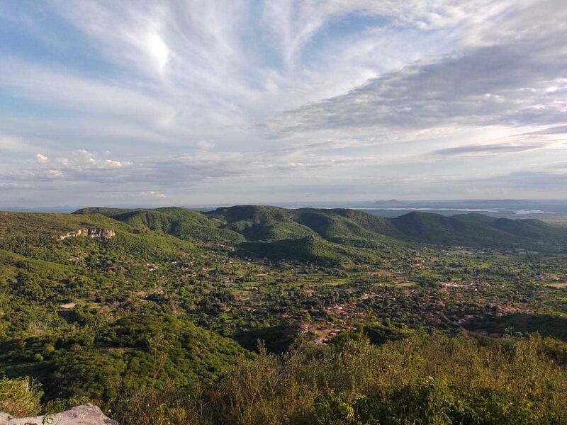 Rising temperatures are among the reasons for the deforestation of rainforests in Brazil. Photo: Cristiane Juliao