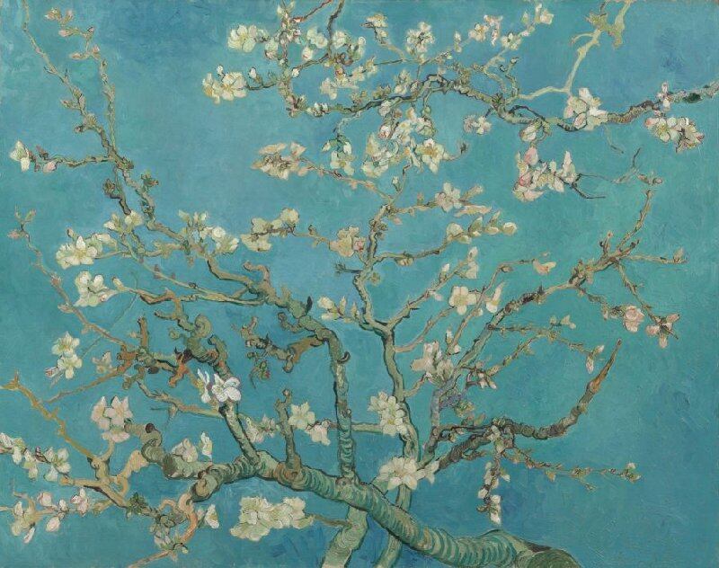 Almond Blossom. Photo: Van Gogh Museum / Vincent van Gogh Foundation