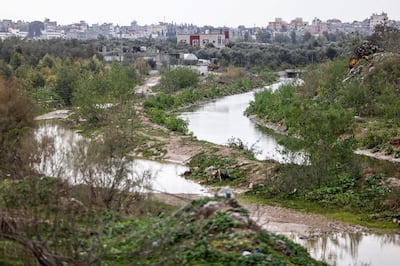Wadi Gaza is a wetland area in the central Gaza Strip that local authorities are working to transform into the first natural park in the enclave. AFP
