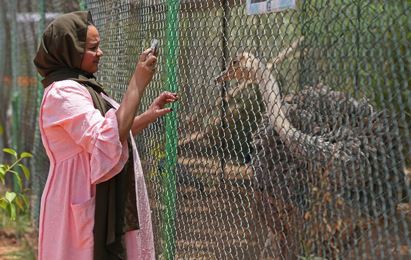 A visitor takes pictures of an ostrich in an enclosure at the centre.  