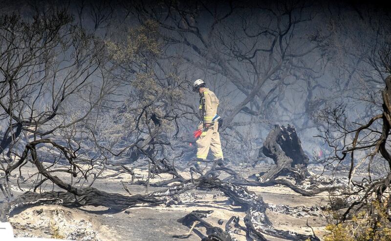 Firefighters try to contain a fire burning at Cheltenham Park in Cheltenham, south-east of Melbourne, Australia. According to reports, at least 40 homes were evacuated inMelbourne's south-east after a grassfire started to burn in Cheltenham Park. Luis Enrique / EPA.