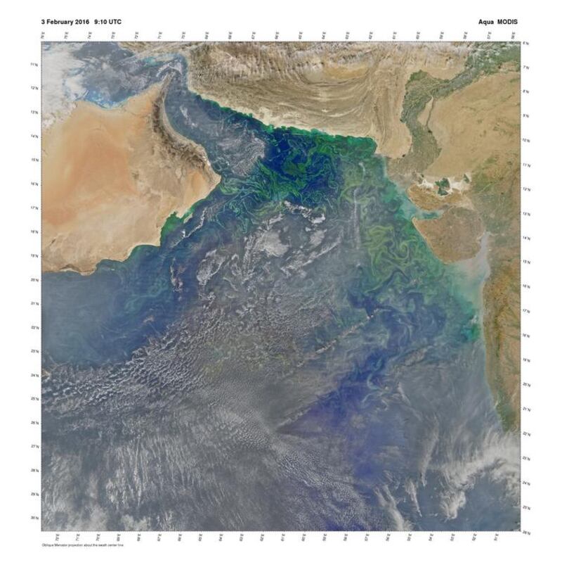 Phytoplankton communities were blooming in the Arabian Sea on February 3, 2016, as can be seen in this Aqua-MODIS scene. Outbreaks of Noctiluca scintillans in recent years are a disturbing symptom of a changing ecosystem in the northern Indian Ocean and are likely responsible for many of the water features in this image.  Photo: Ocean Biology Processing Group (OBPG) / Nasa