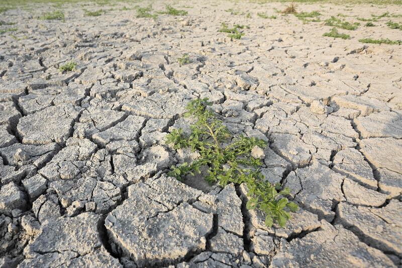 Part of Corsica, the French Mediterranean island, was on drought alert in August. AFP