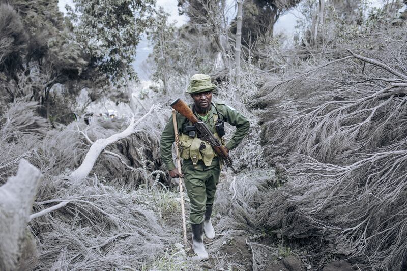 A ranger climbs the slopes of the Nyiragongo volcano in the Democratic Republic of the Congo on June 11, three weeks after it erupted. AFP