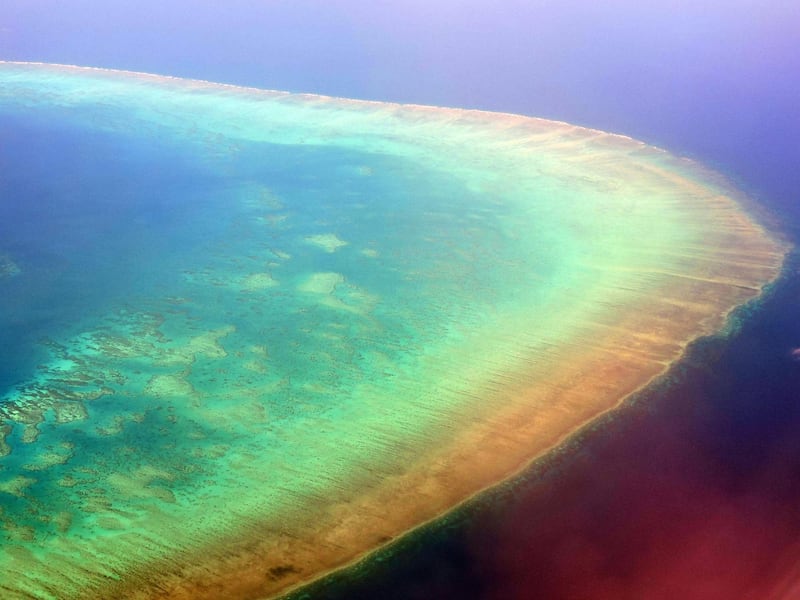 Aerial photo in September 2017 of a portion of the Great Barrier Reef off the coast of Cairns, Queensland, Australia.  Parts of the reef have been subjected to a bleaching event which can damage the coral.  Above-average sea water temperatures caused by global warming have been identified as a leading cause for coral bleaching worldwide.  Between 2014 and 2016, the longest global bleaching events ever were recorded.  In 2016, bleaching of coral on the Great Barrier Reef killed between 29 and 50 percent of the reef's coral.