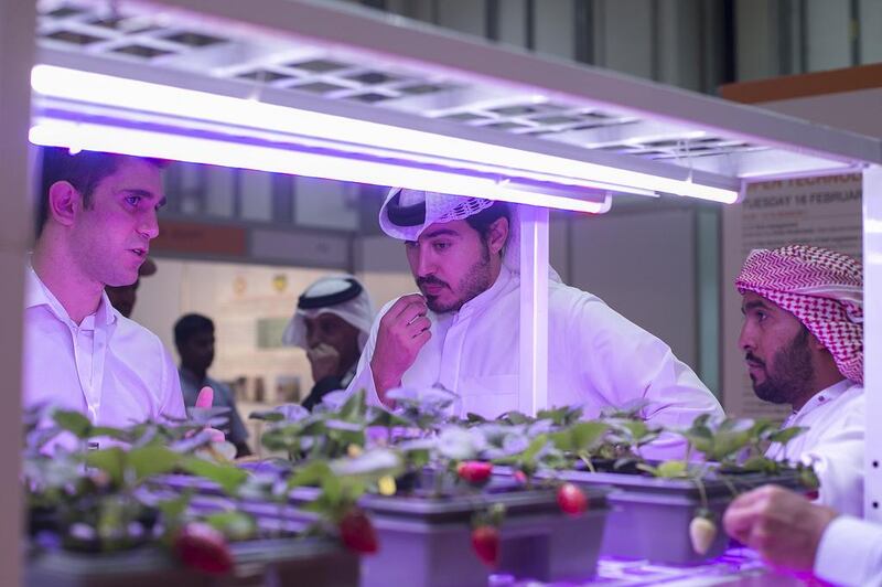The third Global Forum of Innovations in Agriculture attracted scientists and specialists from more than 80 countries. Above, Sonneteck Technology exhibits its products. Mona Al Marzooqi / The National  