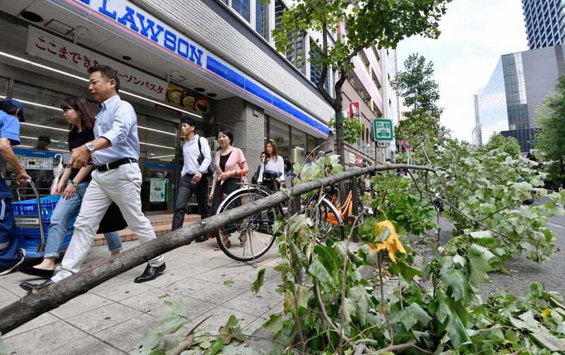 Commuters walk by a fallen tree following a powerful typhoon in Osaka, western Japan. AP Photo