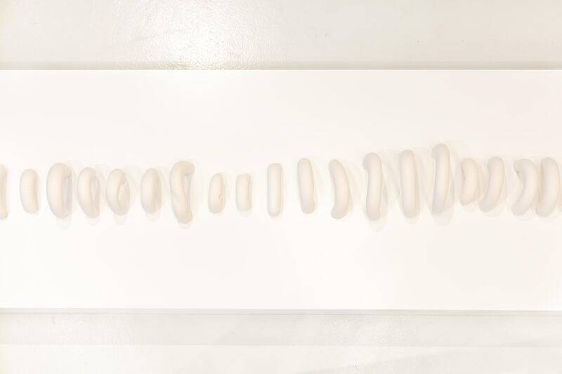 'Collection of Bones, A Spine' by Sara Ahli