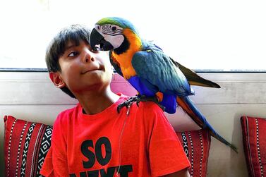 Zayan Thassim has been reunited with his precious pet Elijah. Pawan Singh / The National