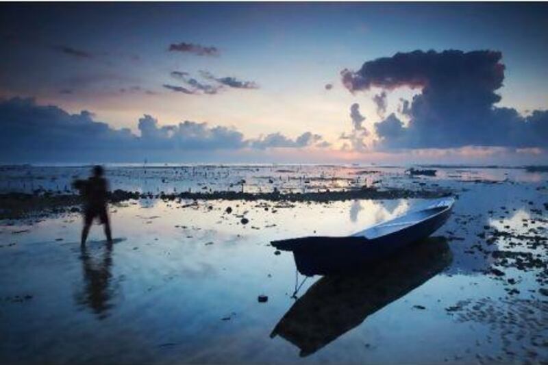 A woman collects seaweed at dawn in Nusa Lembongan, a small island off Bali's south-east coast. From the white beaches in the south to volcanoes and the lush interior, Bali is beautiful, Laura Collins says. Alamy