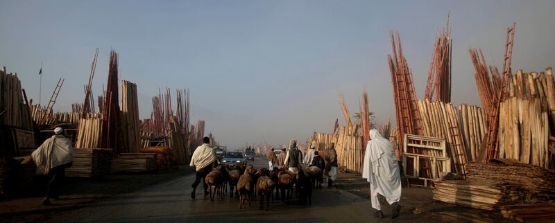 An Afghan man walks his sheep in the middle of a street heading to a livestock market to display for sale for the upcoming Eid-al-Adha festival, in Kabul, Afghanistan, Friday, Nov. 4, 2011. (AP Photo/Muhammed Muheisen) *** Local Caption ***  Afghanistan Eid-al-Adha.JPEG-00a4d.jpg