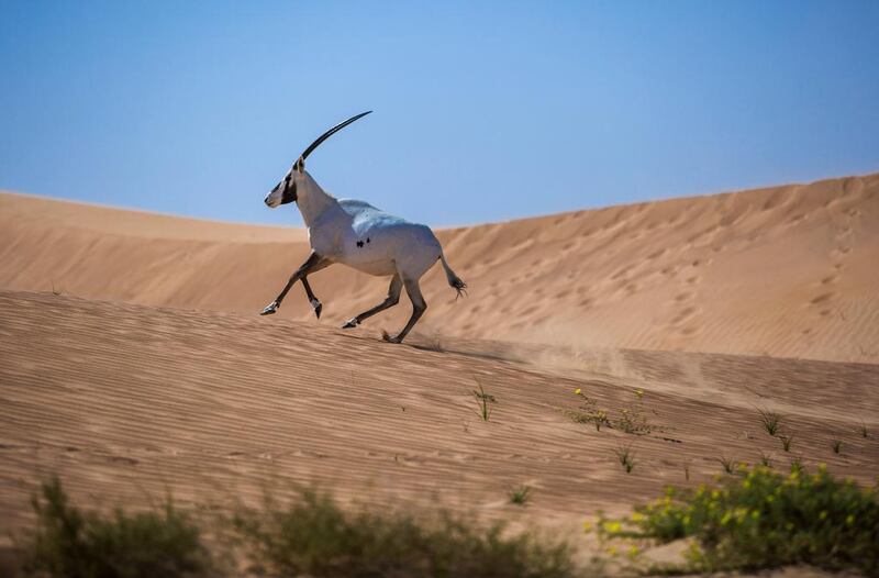 “We wanted a clean environment and the reserve was the only place that had that.”