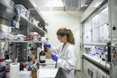 The Naumov Lab at NYUAD in Abu Dhabi, United Arab Emirates, Monday, February 5, 2018. MORE SUBSTANTIAL CAPTION TK (Credit: Kate Lord / New York University)