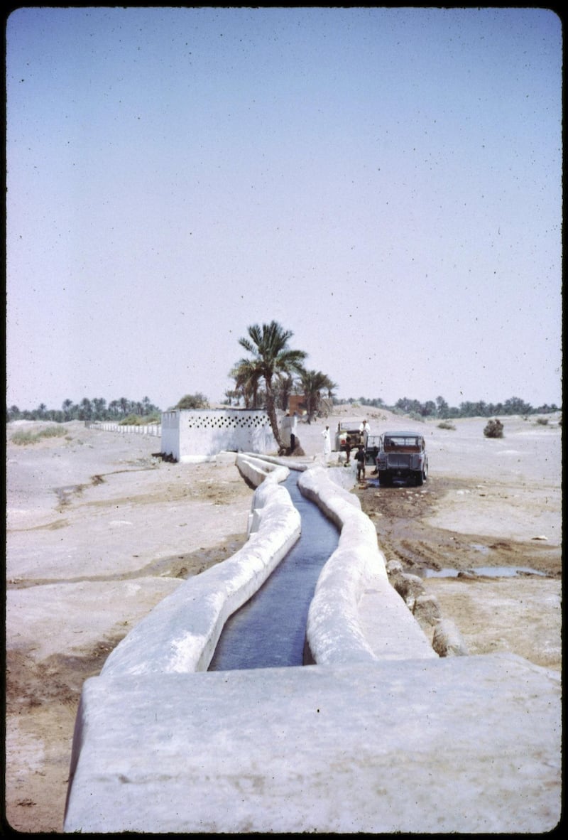 A falaj in Al Ain/Buraimi taken at some point between 1962 and 1964. Courtesy David Riley One time use - permission must be sought from desk or David  -
