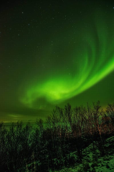 The Northern Lights, Aurora Borealis, in the Lofoten Islands, Norway. Courtesy Viking Cruises