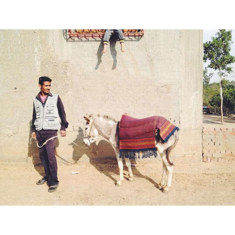 A man and his donkey wait to visit a mobile vet clinic in Abu Seer, Egypt. The clinic provides free veterinary care and training in preventative practices to keep farm animals healthy and more productive. Photo by Christina Rizk (@christinarizk), January 2014. 