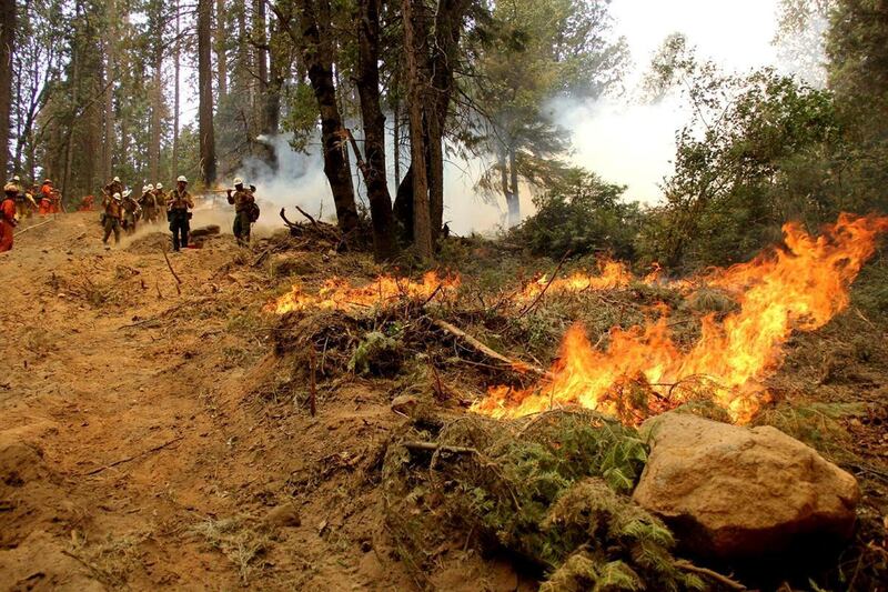 Firefighters battle the Ferguson Fire, the largest fire in the Sierra National Forest's history, in this U.S. Forest Service photo released on social media, in California, U.S., August 8, 2018.    Courtesy US Forest Service/Handout via REUTERS  ATTENTION EDITORS - THIS IMAGE HAS BEEN SUPPLIED BY A THIRD PARTY.