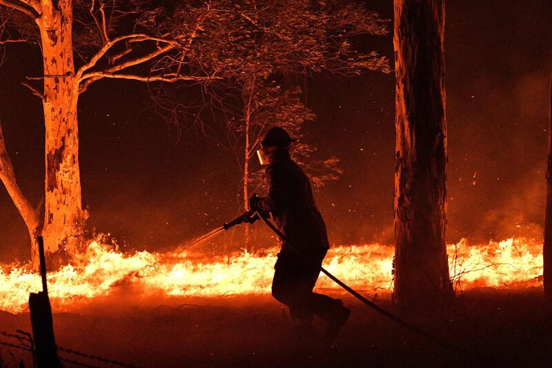 A firefighter hosing down trees and flying embers in an effort to secure nearby houses from bushfires near the town of Nowra in the Australian state of New South Wales.  AFP