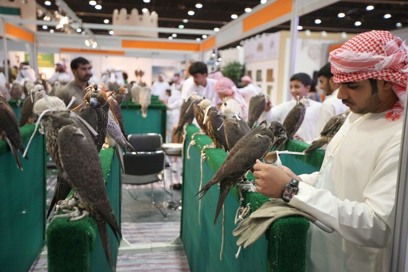 The Abu Dhabi International Hunting and Equestrian Exhibition (ADIHEX) has announced the launch of a new edition of the "Most Beautiful Captive-Bred Falcons" contest. WAM