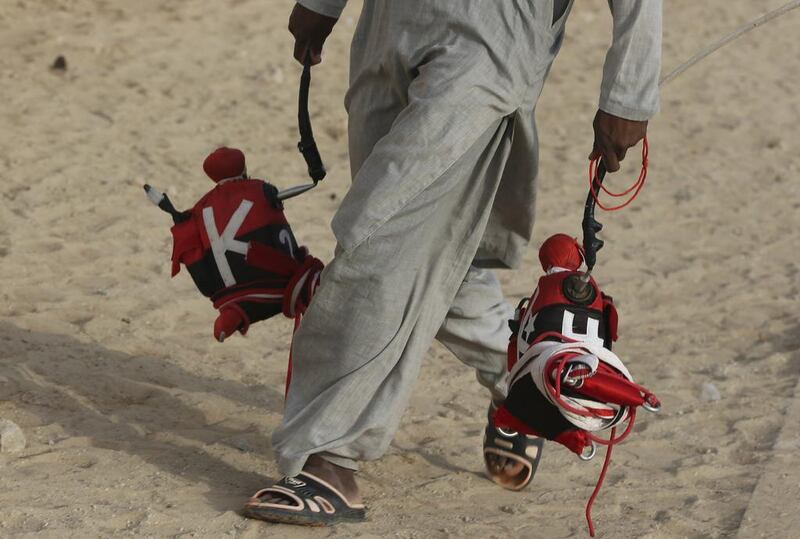 A camel keeper carries robotic jockeys ahead of a race at the Al Marmoom Camel Racetrack.