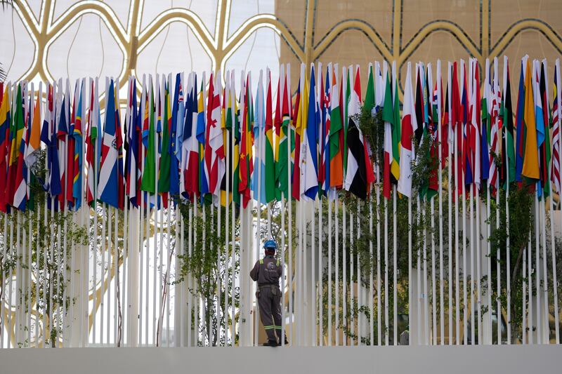 National flags on display at the UN climate summit. AP
