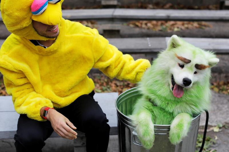 Mark Belio, dressed as Big Bird of Sesame Street, sits with Biff the Samoyed, dressed as Oscar the Grouch, at the Tompkins Square Halloween Dog Parade in Manhattan, New York City. Reuters