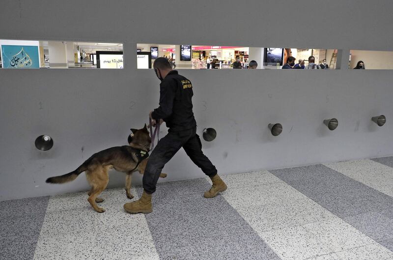 A police officer leads a sniffer dog trained to detect COVID-19 through sweat samples at Lebanon's Rafiq Hariri International Airport in Beirut on March 1, 2021. Specifically trained sniffer dogs can detect COVID-19 in a person in a few seconds, including in very early stages when a PCR test would yield a negative result.Each dog can process hundreds of samples every day, the only wages they need are biscuits or rubber toys and they deliver results on the spot. / AFP / JOSEPH EID
