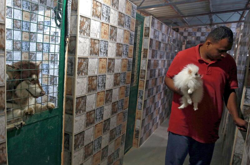 A member of the staff opens a kennel door at the "dog hotel" at “Pet Zone”, a pet health center in the Jordanian capital Amman, on October 1, 2019. Where strays were once mostly left to scavenge for food, Jordanians, in a new trend in the Arab kingdom are increasingly willing to foot steep bills to care for beloved dogs and cats. / AFP / Khalil MAZRAAWI
