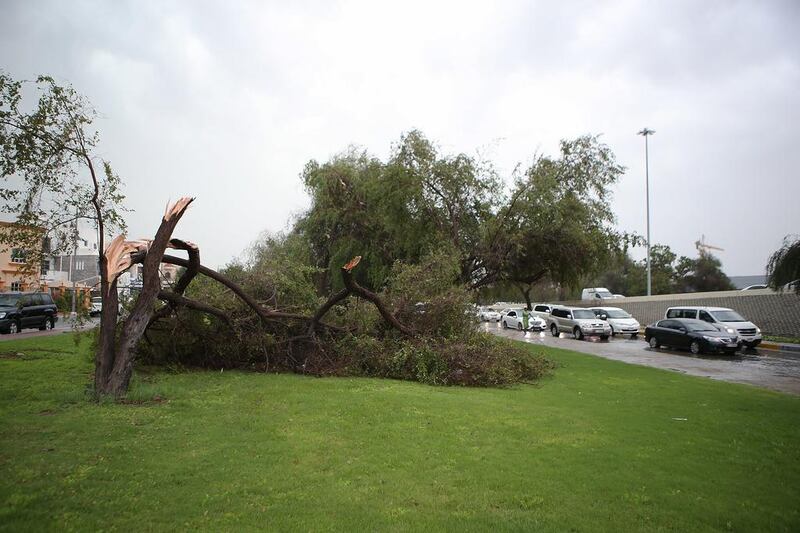 Trees uprooted on Airport Road after the storm hit Abu Dhabi. Ravindranath K / The National