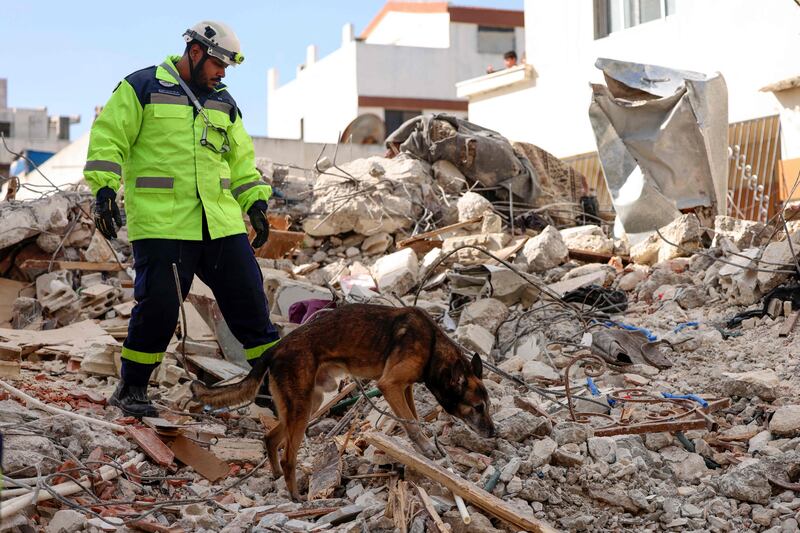 An Emirati rescuer, with the help of a dog, searches for survivors 