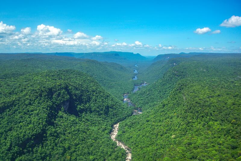 Guyana is net zero thanks to dense rainforest cover, despite being a newly oil-producing nation. AFP