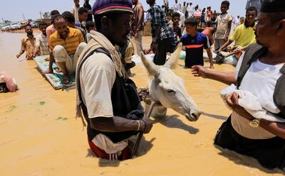 Residents and their animals walk through flood water in Al Managil area in Sudan's Al Jazeerah State. Reuters.