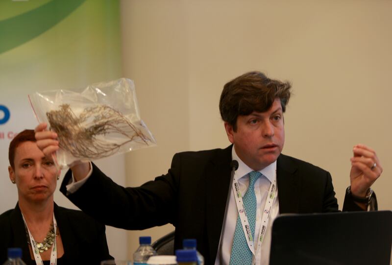 Alejandro Rios, Director, Sustainable Bioenergy Research Consortium presents the Salicornia bigelovii plant while speaking on progress by the Sustainable Bioenergy Research Consortium (SBRC) to research and develop sustainable aviation biofuel in the UAE. Ravindranath K / The National