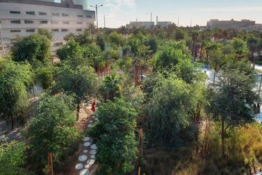 Al Fay Park on Reem Island in Abu Dhabi uses 40 per cent less water than traditional parks. Courtesy SLA