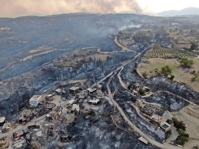 Authorities evacuated homes as strong winds fanned numerous bushfire along Turkey's coast.