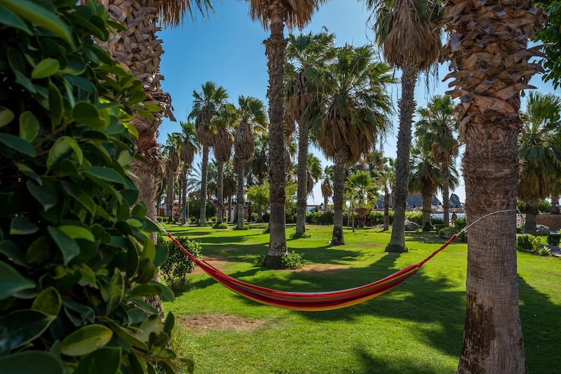 Hammocks and palm trees at Sandy Beach Hotel & Resort.
