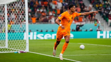 Cody Gakpo of the Netherlands celebrates scoring the opening goal during the World Cup, group A soccer match between Senegal and Netherlands at the Al Thumama Stadium in Doha, Qatar, Monday, Nov.  21, 2022.  (AP Photo / Petr David Josek)