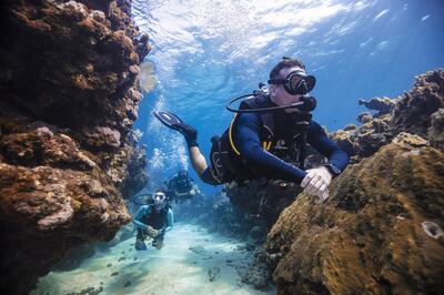 The Divers Down Life Changer course includes a series of Padi qualifications. Courtesy Padi